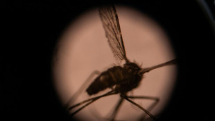 Malaria: Killer of African children set for vaccine zap