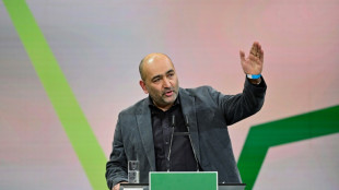 Omid Nouripour bildet mit Ricarda Lang neue Grünen-Doppelspitze