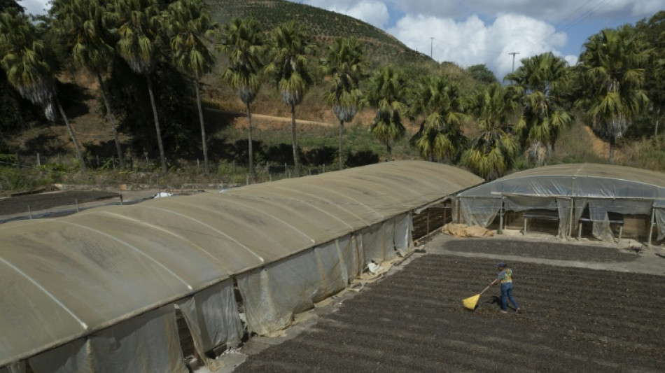 El desempleo marca otro r&eacute;cord positivo en Brasil
