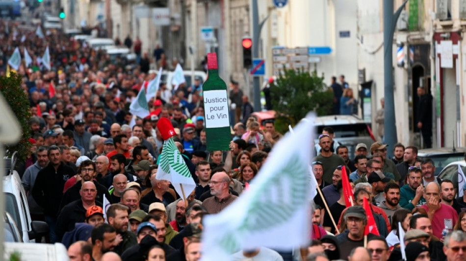 A B&eacute;ziers, des milliers de viticulteurs demandent "d'agir vite" face &agrave; leur d&eacute;tresse
