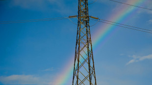Iea, nella seconda met&agrave; anni Venti ribasso prezzi energia