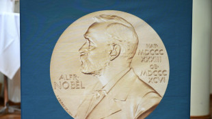 Namen der diesjährigen Chemie-Nobelpreisträger offenbar bereits durchgesickert