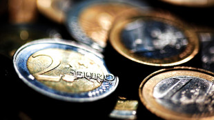 Bce, 'ruolo internazionale euro cresce, nel 2025 vale 20% delle valute globali'