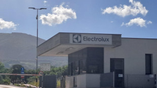 Elextrolux, Mimit al lavoro per l'estensione ai Comuni del tavolo del 25/5