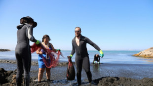 Pacific algae invade Algeria beaches, pushing humans and fish away