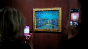 135 ans après, "La nuit étoilée" de Van Gogh brille de nouveau à Arles