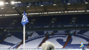 Schalke reduziert Verbindlichkeiten um 33,5 Millionen Euro