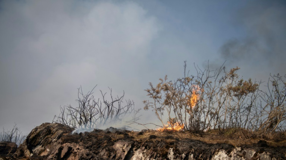 L'incendie dans la for&ecirc;t de Broc&eacute;liande s'&eacute;tend, deux avions su&eacute;dois en action