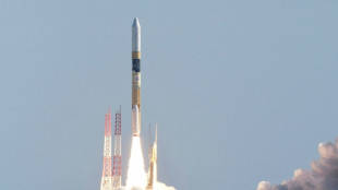 La sonda japonesa SLIM alunizó pero sus paneles no producen energía