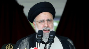 Tod des iranischen Präsidenten: Hamas und Hisbollah bezeichnen Raisi als "Unterstützer des Widerstands"