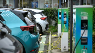 Hybrid cars top choice for consumers in Europe in 2025: data 