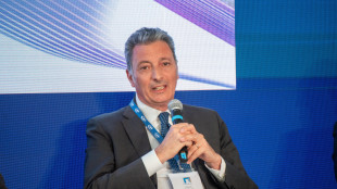 Gse, 'Fer X definitivo &egrave; strategico per la crescita delle rinnovabili'