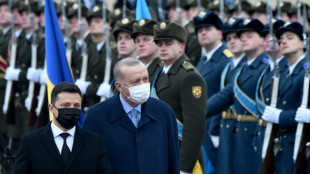 Erdogan bemüht sich in Kiew um Vermittlung im Ukraine-Konflikt