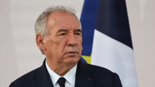 Budget: Bayrou pr&eacute;sente l'addition, les boucliers se l&egrave;vent d&eacute;j&agrave;