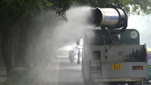 La capital india cierra sus escuelas, asfixiada por la contaminaci&oacute;n