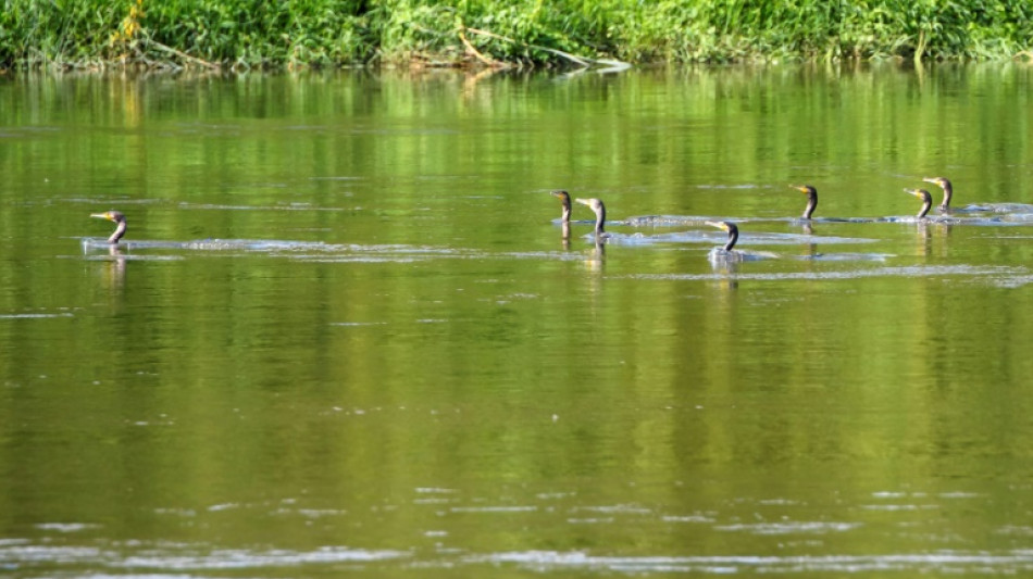 Weltkriegsbombe auf Baggerschiff in Koblenz entsch&auml;rft