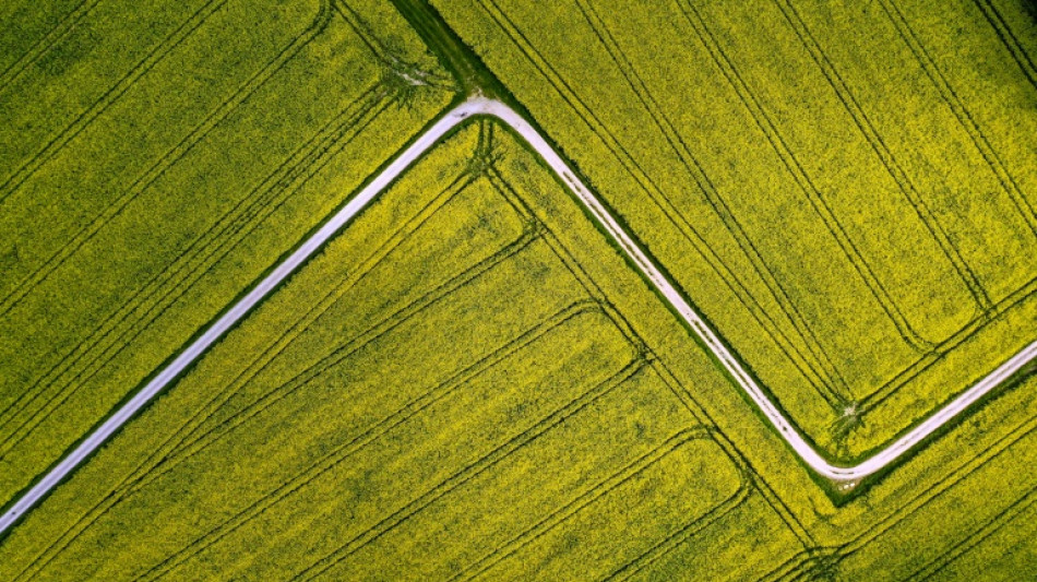 Ministerium bringt Hilfen in H&ouml;he von 180 Millionen Euro f&uuml;r Landwirte auf den Weg