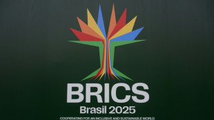 Vertreter der Brics-Staaten kommen zu Gipfeltreffen in Rio de Janeiro zusammen