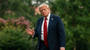 Trump re&ccedil;oit le chef de l'Otan, apr&egrave;s avoir promis des Patriot &agrave; l'Ukraine