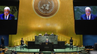 Nach Scheitern von Aufnahme-Antrag: UNO könnte Palästinensern mehr Rechte geben