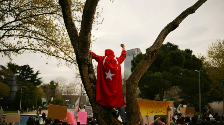 Erdogan takes Turkey to new crossroads with mayor's arrest: analysts