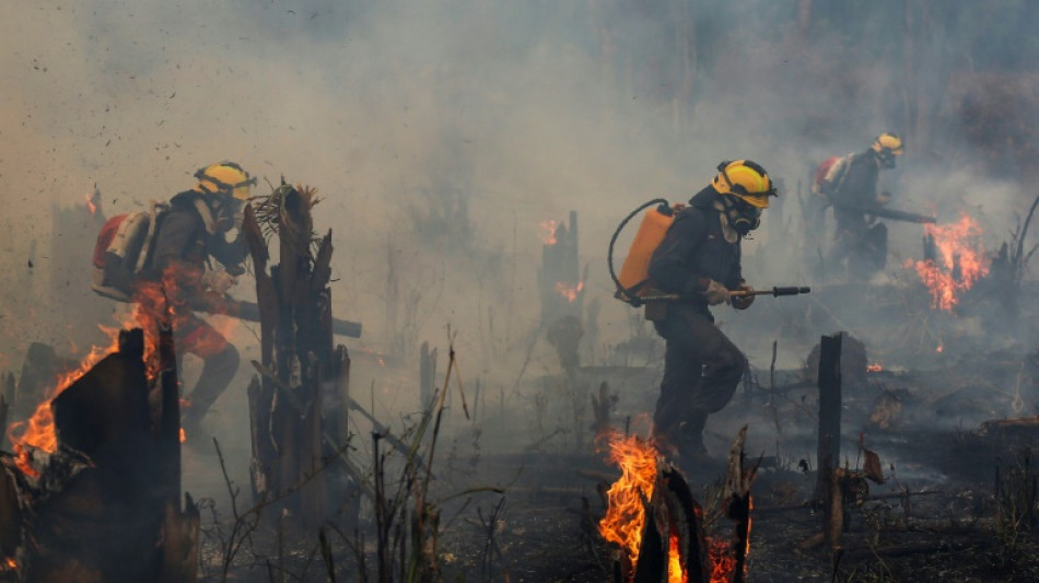 Brésil: plus d'incendies en Amazonie depuis janvier que sur toute l'année 2021 