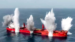 Six rescued from cargo ship attacked in Red Sea: EU naval force