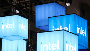 Intel legt Chipfabrik-Bau in Magdeburg auf Eis - "Ampel" streitet &uuml;ber Gelder