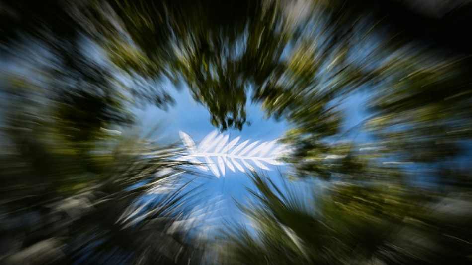 El Festival de Cannes calienta motores para una edici&oacute;n bajo tensi&oacute;n