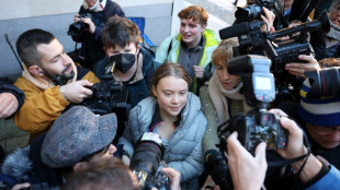 A Londres, Greta Thunberg jugée pour trouble à l'ordre public 
