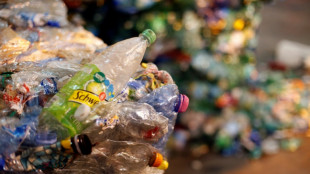 Studie: Nur jede zweite PET-Flasche wird als Flasche recycelt