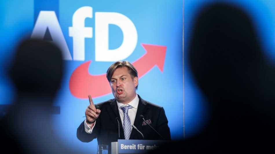 AfD setzt Kandidatenkür bei Europawahlversammlung in Magdeburg fort