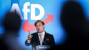 AfD setzt Kandidatenkür bei Europawahlversammlung in Magdeburg fort