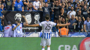 Befreiungsschlag für Hertha - HSV wieder an der Spitze