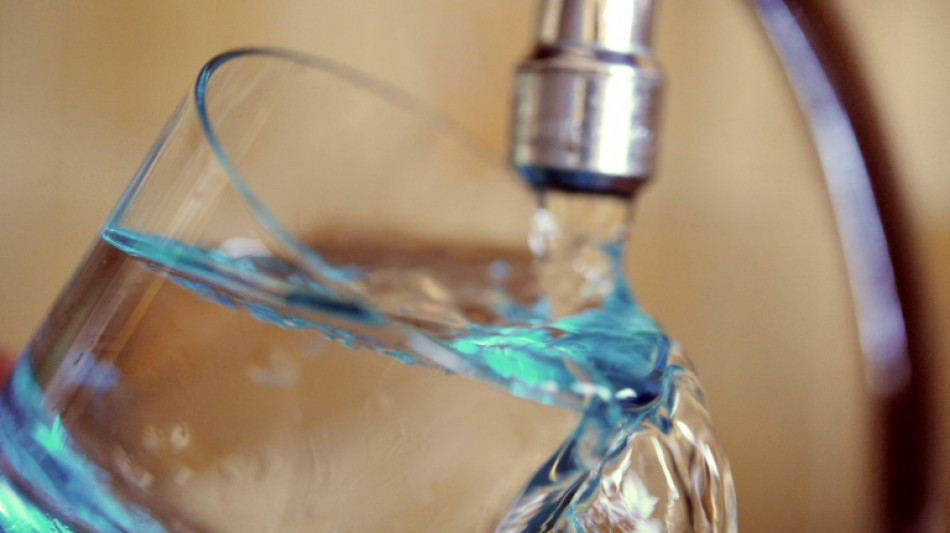 Résidus de pesticides dans l'eau courante: BASF "rassurant" sur le "risque sanitaire"
