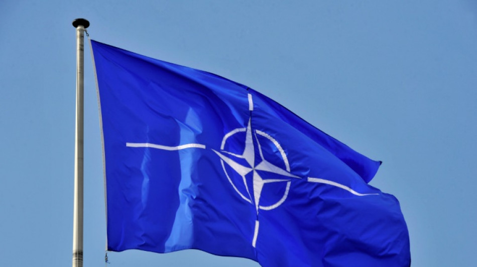 Ungarisches Parlament will Finnlands Nato-Beitritt ratifizieren