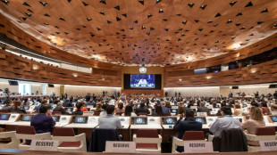 La OMS evaluar&aacute; si la viruela del mono representa una "emergencia de salud p&uacute;blica internacional"