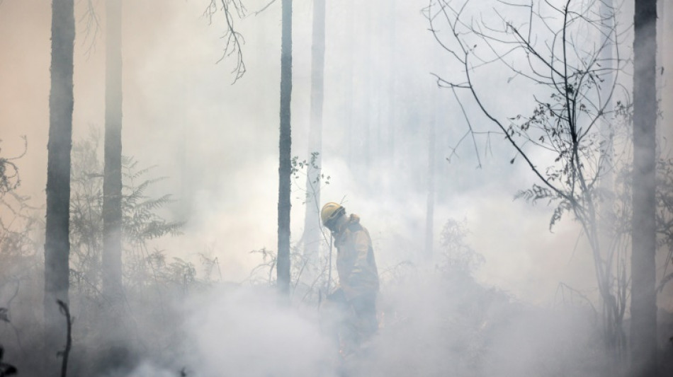Feux de for&ecirc;t: un &eacute;t&eacute; record de surfaces br&ucirc;l&eacute;es en Europe