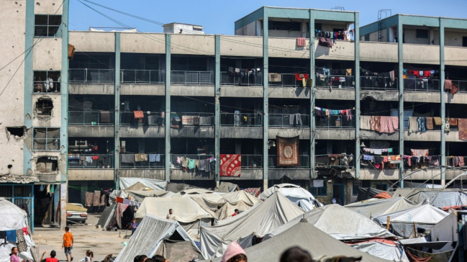 Trump con escasas opciones al Nobel de la Paz, &iquest;entonces qui&eacute;n lo ganar&aacute;?