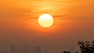 Temperatures likely to remain at record levels in 2026-2030: UN