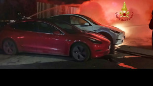 Tesla k&auml;mpft weiter mit einbrechendem Absatz