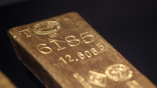 170 Goldm&uuml;nzen und 16 Goldbarren in Reisegep&auml;ck am Hamburger Flughafen entdeckt