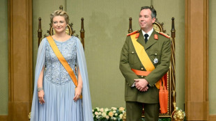 Guillaume, nouveau grand-duc du Luxembourg, a pr&ecirc;t&eacute; serment