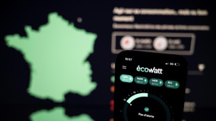 Syst&egrave;me &eacute;lectrique: "l'essentiel des risques est derri&egrave;re nous" mais il faut "encore &ecirc;tre vigilant" (RTE)