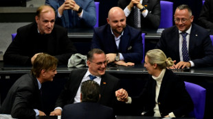 AfD-Abgeordnete reisen zu Gesprächen mit Trump-Partei in die USA