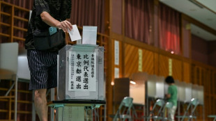 Oberhauswahlen in Japan begonnen - Regierungskoalition k&ouml;nnte Mehrheit verlieren