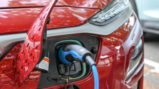 Branchenverband rechnet mit sinkendem Marktanteil von Elektroautos