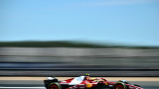 Formel 1: Hamilton im ersten Training vorn