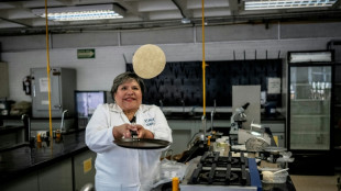 México desenvolve tortilha para combater desnutrição e falta de geladeiras