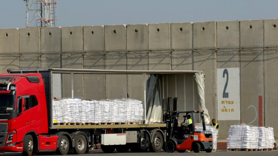 Head of US-backed Gaza aid group resigns, says mandate 'not possible' to fulfil